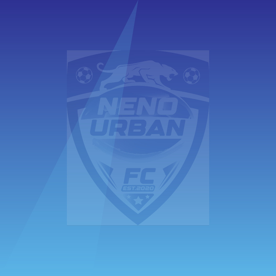 Community football day